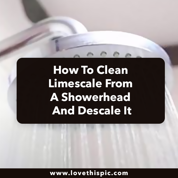 How To Clean Limescale From A Showerhead And Descale It
