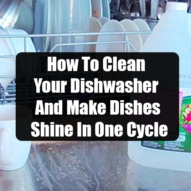 How To Clean Your Dishwasher And Make Dishes Shine In One Cycle