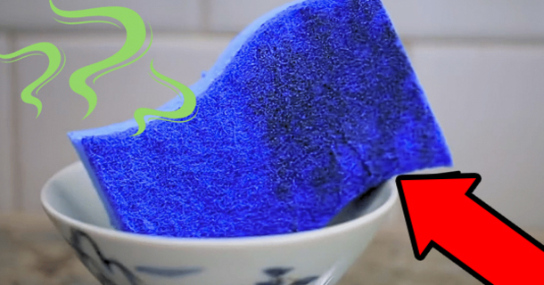 How to Clean Your Sponge in Under 2 Minutes - picture 2
