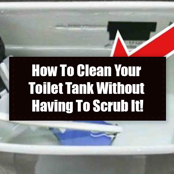 How To Clean Your Toilet Tank Without Having To Scrub It!
