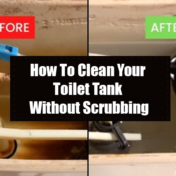 How To Clean Your Toilet Tank Without Scrubbing