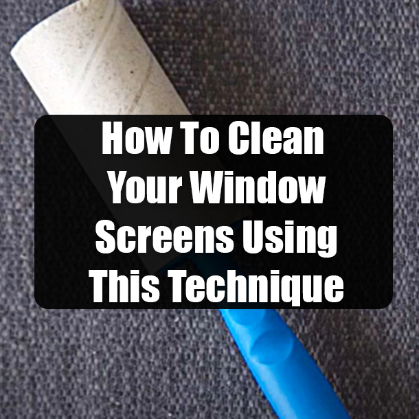 How To Clean Your Window Screens Using This Technique