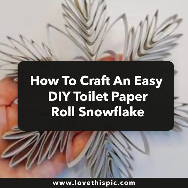 How To Craft An Easy DIY Toilet Paper Roll Snowflake