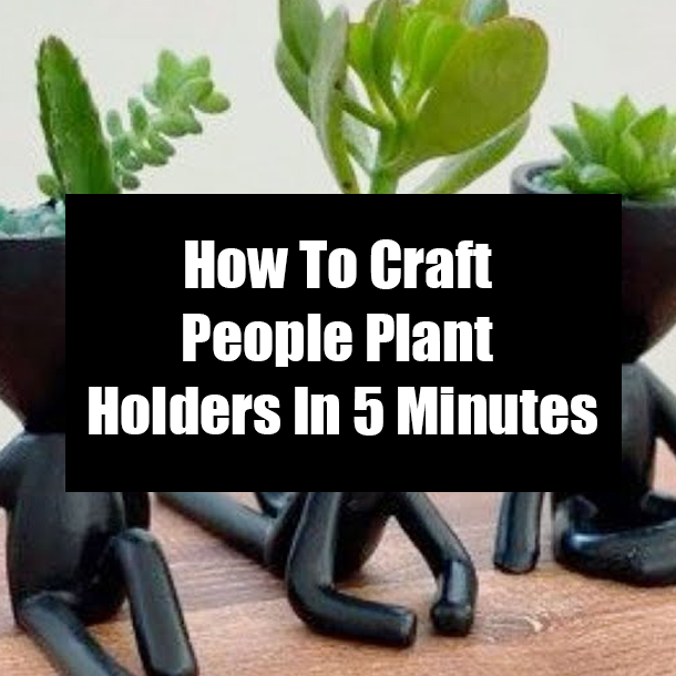 How To Craft People Plant Holders In 5 Minutes