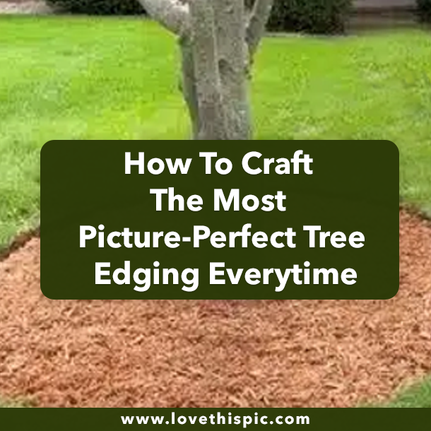 How To Craft The Most Picture-Perfect Tree Edging Everytime