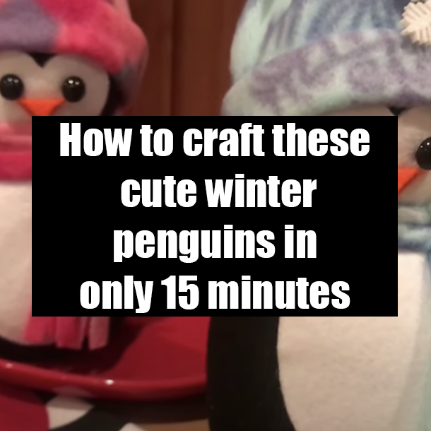 How to craft these cute winter penguins in only 15 minutes