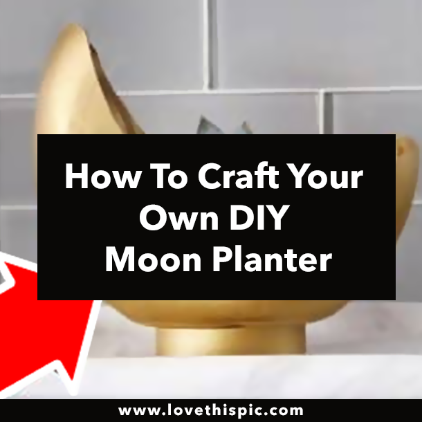 How To Craft Your Own DIY Moon Planter