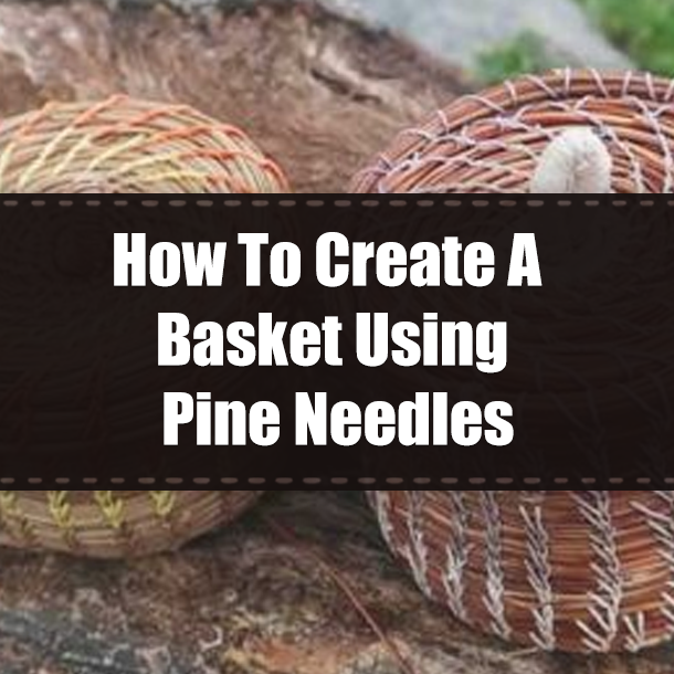 How To Create A Basket Using Pine Needles