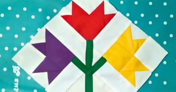 How To Create A Caroline Lily Quilt - picture 2