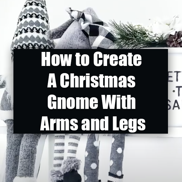 How to Create A Christmas Gnome With Arms and Legs