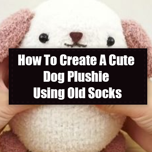 How To Create A Cute Dog Plushie Using Old Socks