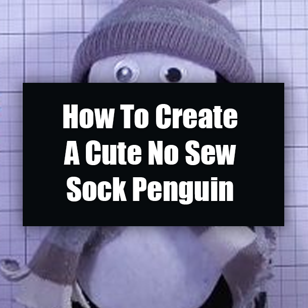 How To Create A Cute No Sew Sock Penguin