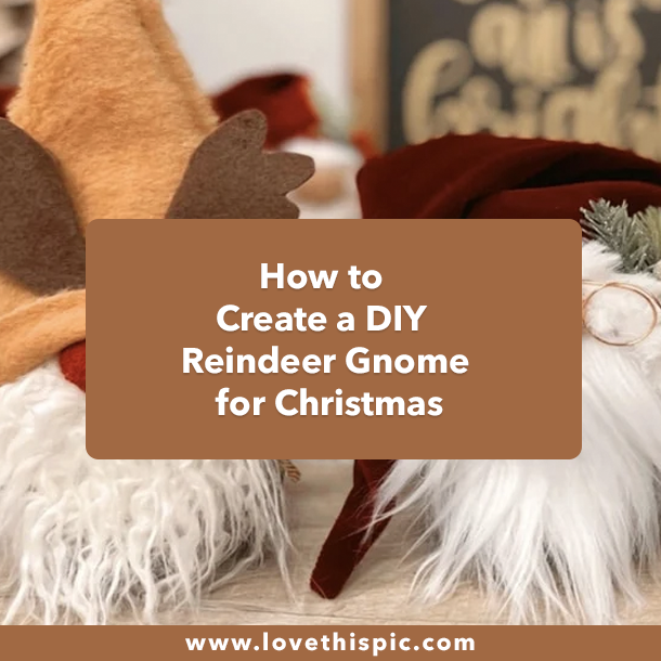 How to Create a DIY Reindeer Gnome for Christmas