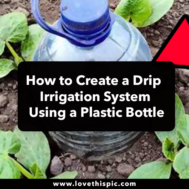 How to Create a Drip Irrigation System Using a Plastic Bottle