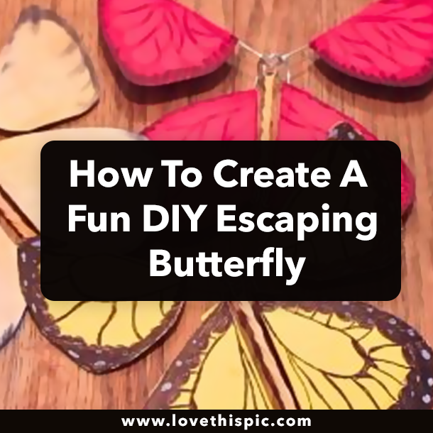 How To Create A Fun DIY Escaping Butterfly
