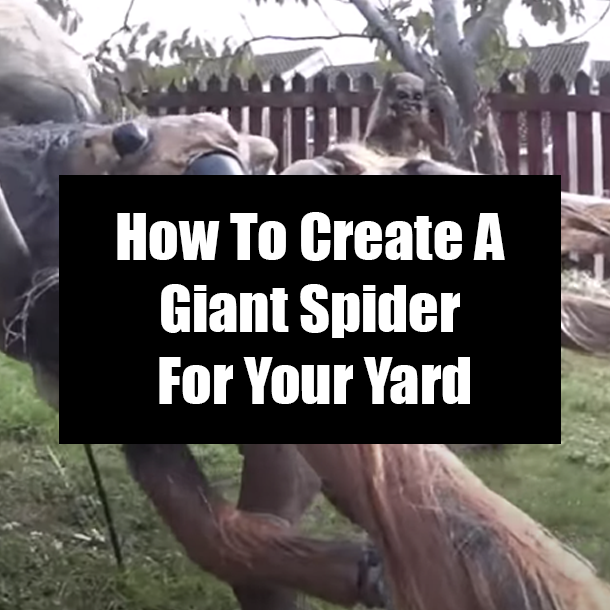 How To Create A Giant Spider For Your Yard
