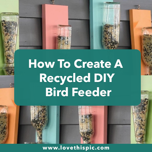 How To Create A Recycled DIY Bird Feeder