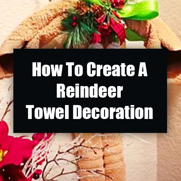 How To Create A Reindeer Towel Decoration