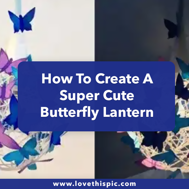 How To Create A Super Cute Butterfly Lantern