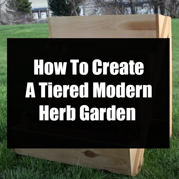 How To Create A Tiered Modern Herb Garden