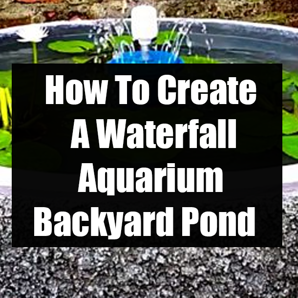 How To Create A Waterfall Aquarium Backyard Pond