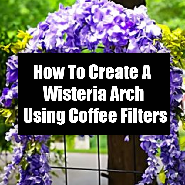 How To Create A Wisteria Arch Using Coffee Filters
