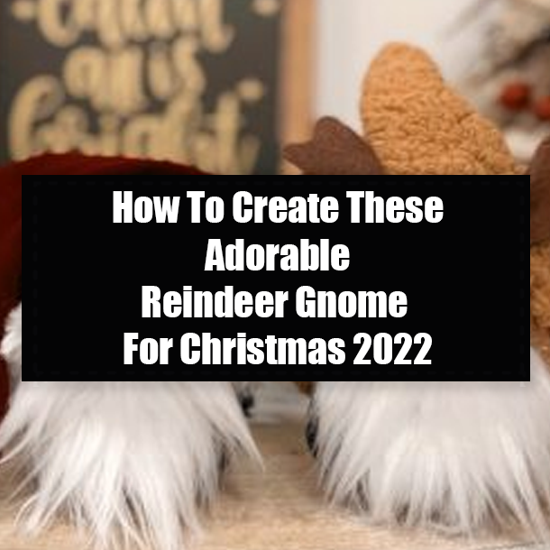 How To Create These Adorable Reindeer Gnome For Christmas 2022