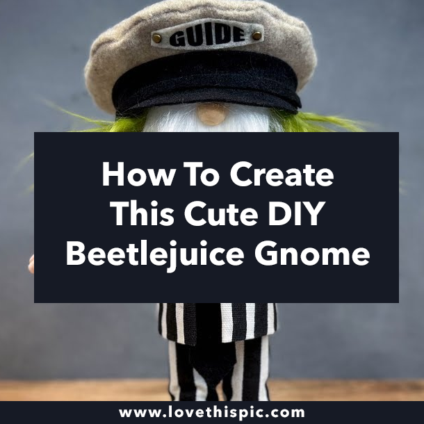 How To Create This Cute DIY Beetlejuice Gnome