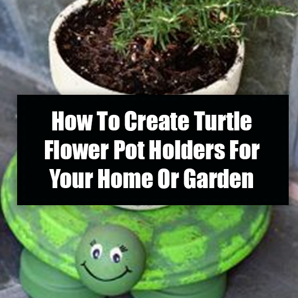 How To Create Turtle Flower Pot Holders For Your Home Or Garden
