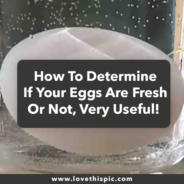 How To Determine If Your Eggs Are Fresh Or Not, Very Useful!