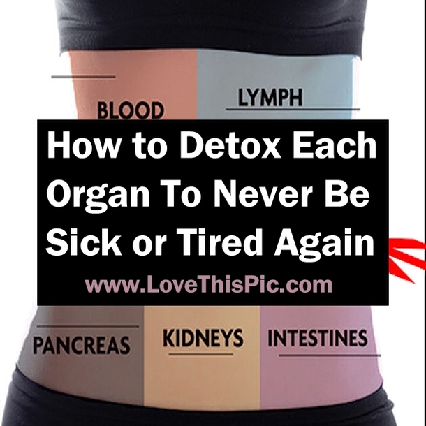 How to Detox Each Organ To Never Be Sick or Tired Again...