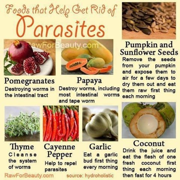 How to Detox Each Organ To Never Be Sick or Tired Again... - picture 6