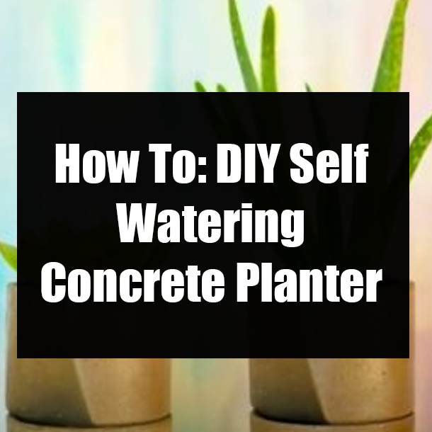 How To: DIY Self Watering Concrete Planter