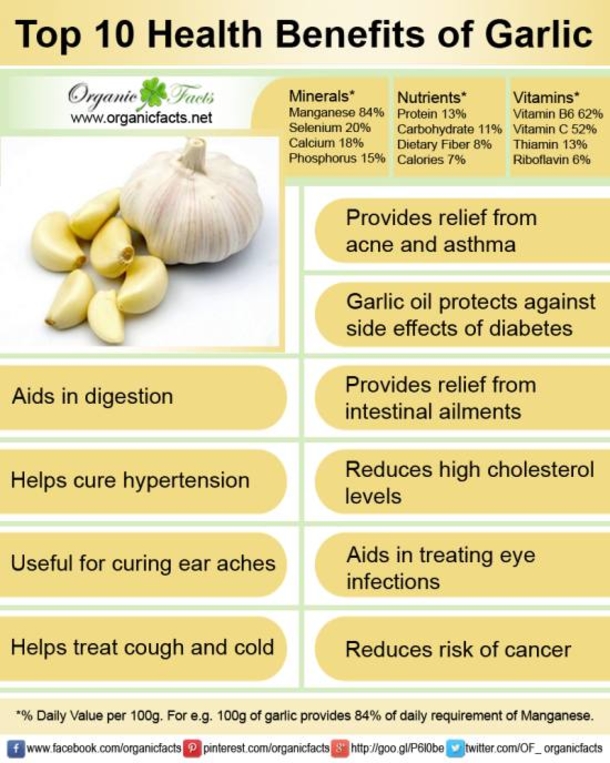 How To Easily Grow An Endless Supply of Garlic Indoors - picture 2