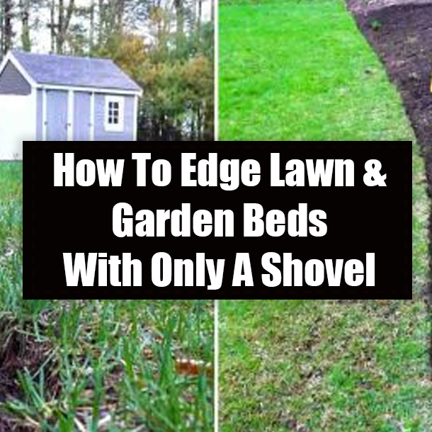 How To Edge Lawn & Garden Beds With Only A Shovel