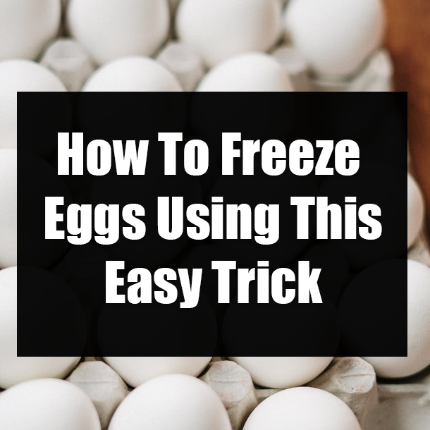 How To Freeze Eggs Using This Easy Trick