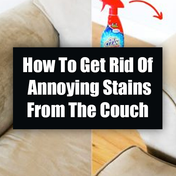 How To Get Rid Of Annoying Stains From The Couch