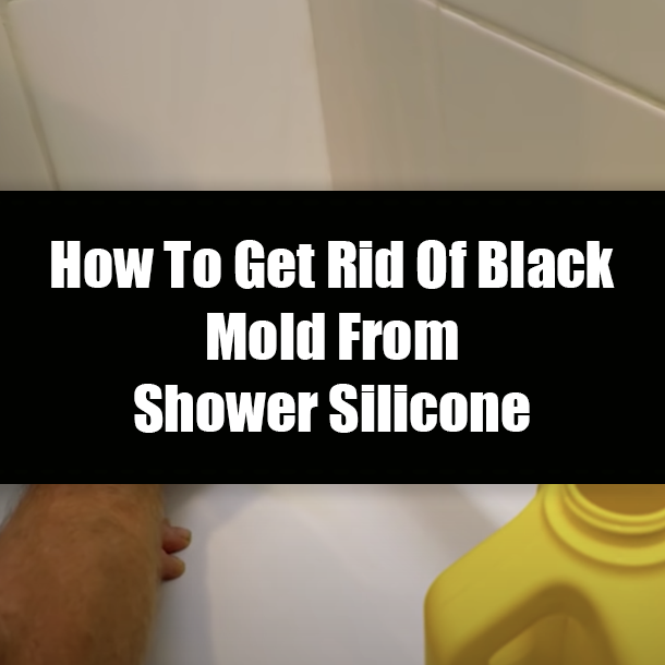 How To Get Rid Of Black Mold From Shower Silicone