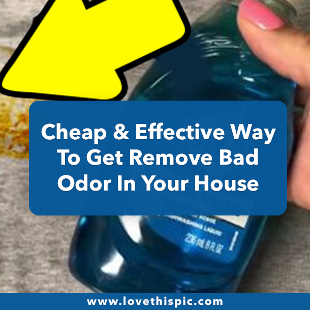 How To Get Rid Of Clothes Stains With Dawn Dish Soap
