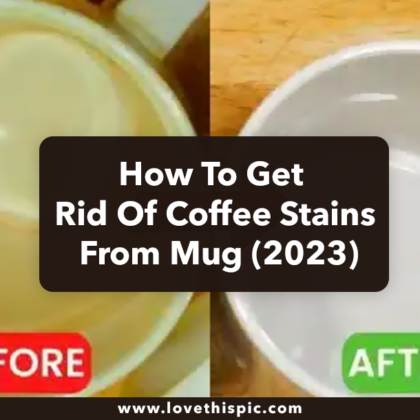 How To Get Rid Of Coffee Stains From Mug (2023)