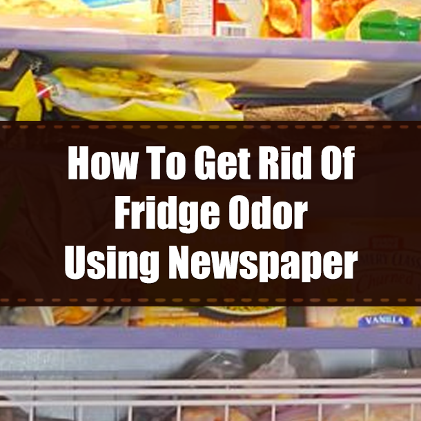 How To Get Rid Of Fridge Odor Using Newspaper