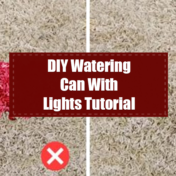 How To Get Rid Of Red Wine Stains On Carpet
