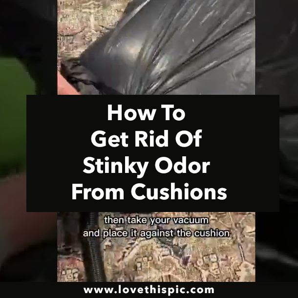 How To Get Rid Of Stinky Odor From Cushions