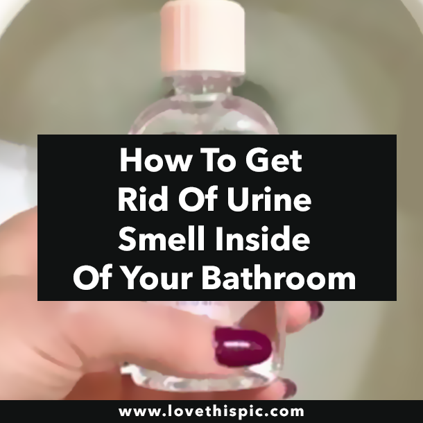 How To Get Rid Of Urine Smell Inside Of Your Bathroom