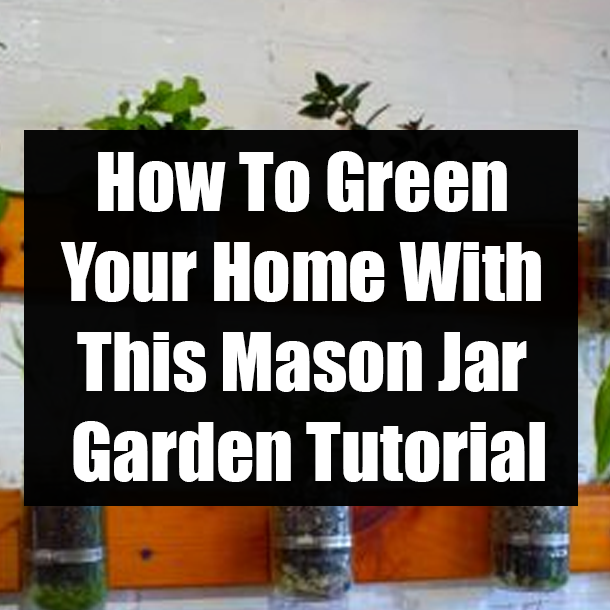 How To Green Your Home With This Mason Jar Garden Tutorial