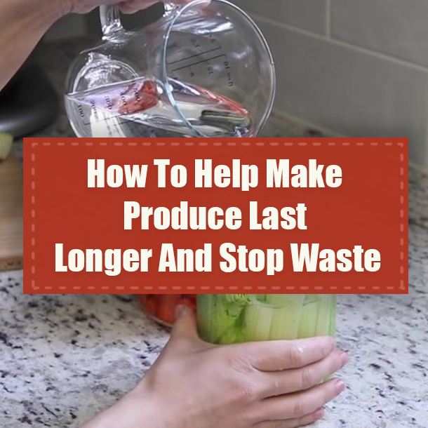 How To Help Make Produce Last Longer And Stop Waste