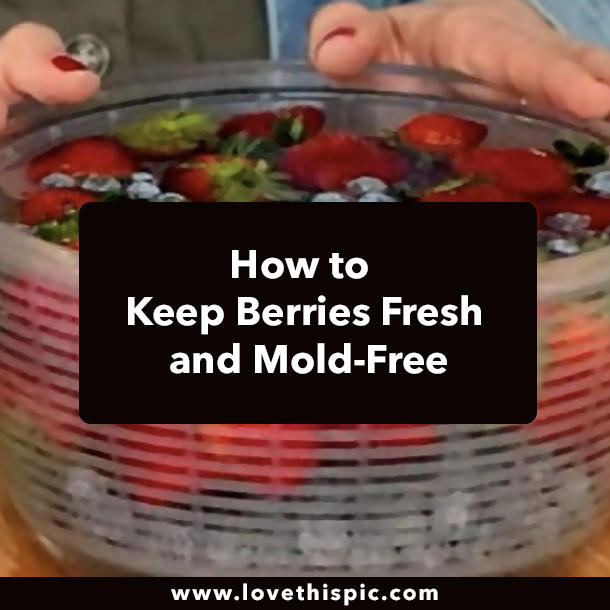 How to Keep Berries Fresh and Mold-Free