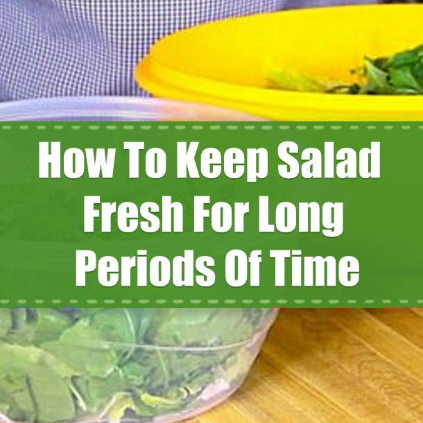 How To Keep Salad Fresh For Long Periods Of Time