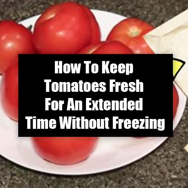How To Keep Tomatoes Fresh For An Extended Time Without Freezing