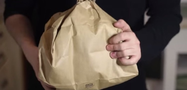 How To Keep Wasps Away With A Brown Paper Bag - picture 2